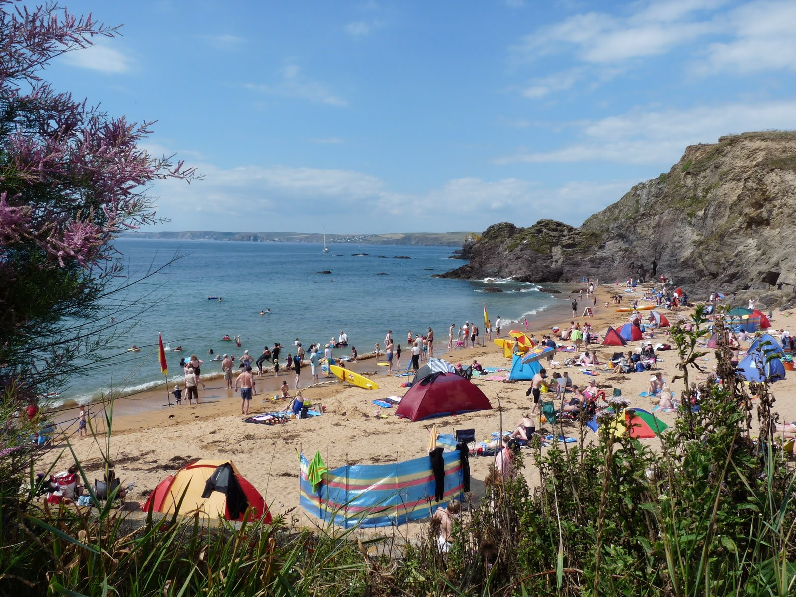 Eleanor Ludgate Blog Spot HOPE COVE