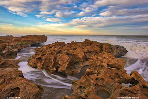 Photo Art Promotion: Florida Riviera Beach Ocean Reef Park