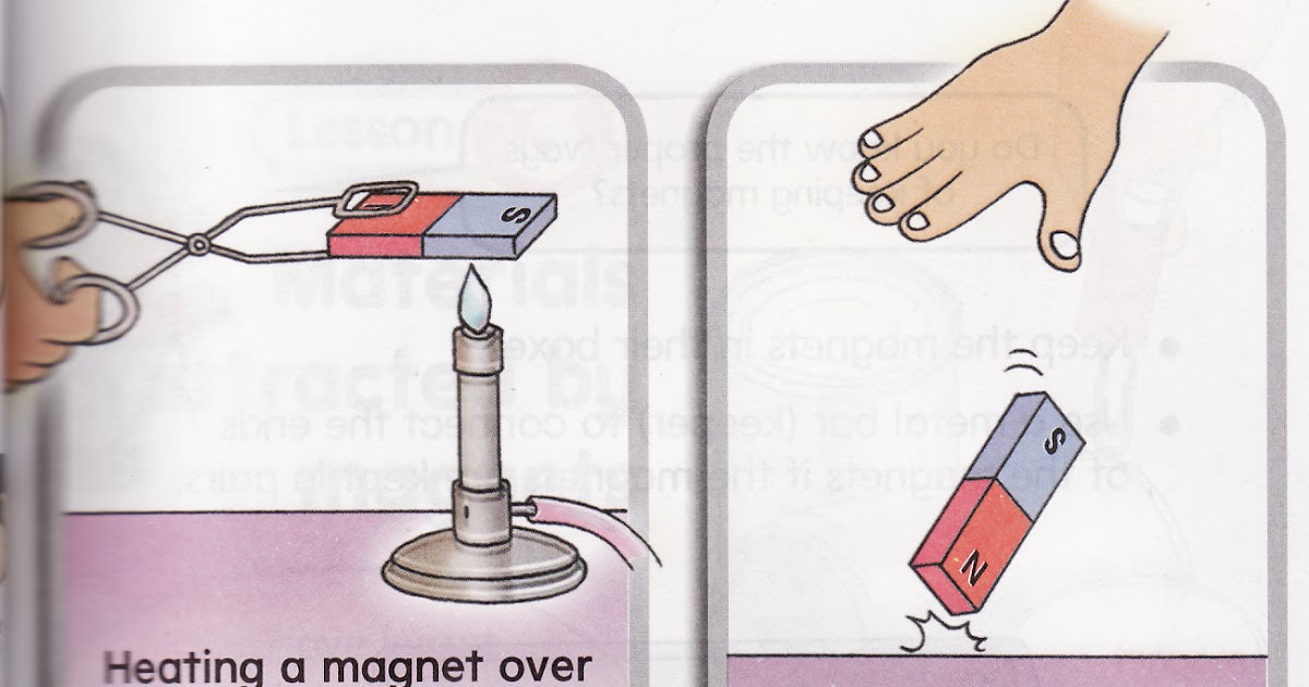 Year 3 Science Lesson 3 Handling