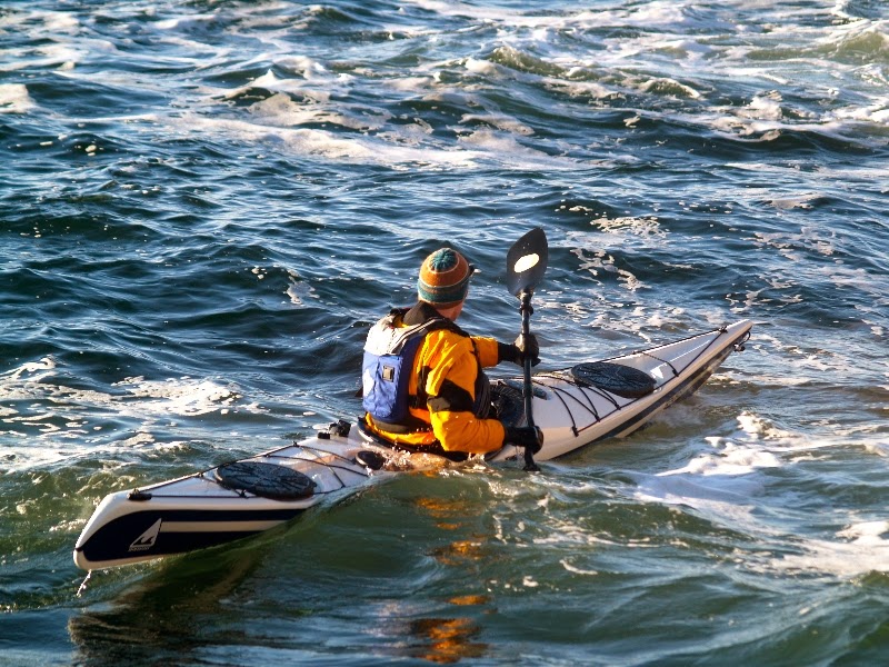 Skim through meaning bingersong