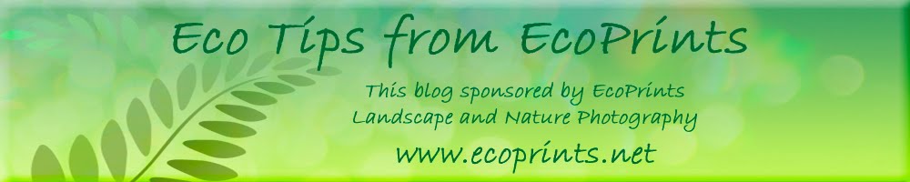 Eco Tips from EcoPrints