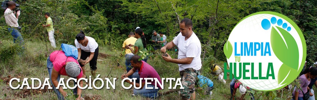 CADA ACCIÓN CUENTA