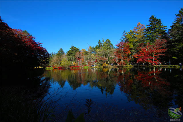 軽井沢 雲場池