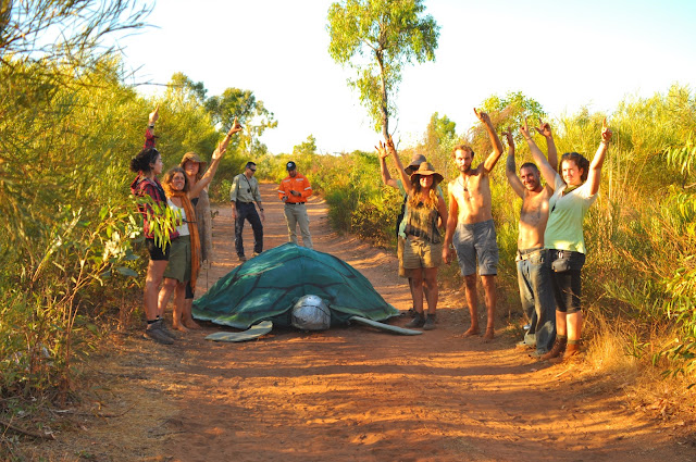 hands off country police issue turtle move on notice at james price