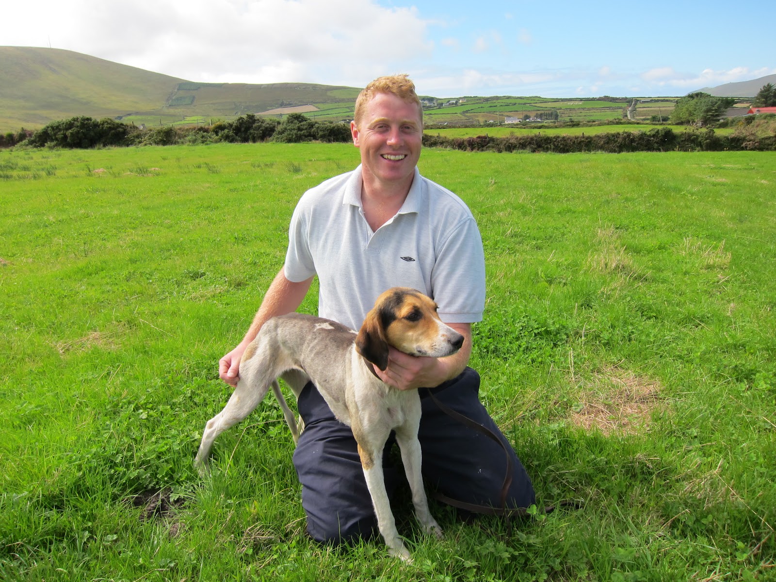 kerry beagle association