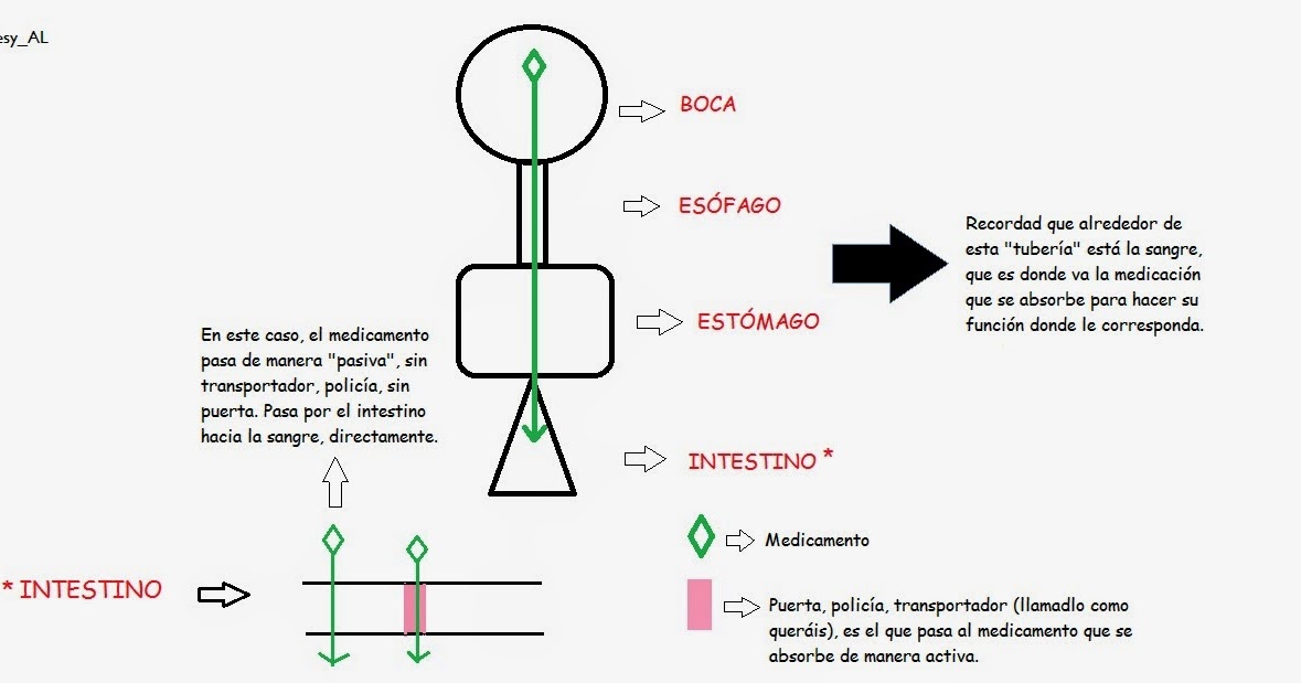 Y esto, ¿para qué sirve?: ¿Cómo me tomo la medicación: con Y esto, ¿para qué sirve?: ¿Cómo me tomo la medicación: con
