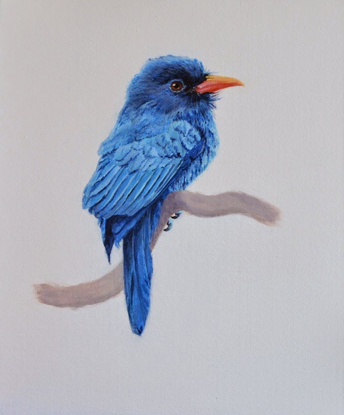 jose feliciano rain دانلود daniel dvran paintings black fronted nunbird jose feliciano rain دانلود daniel dvran paintings black fronted nunbird