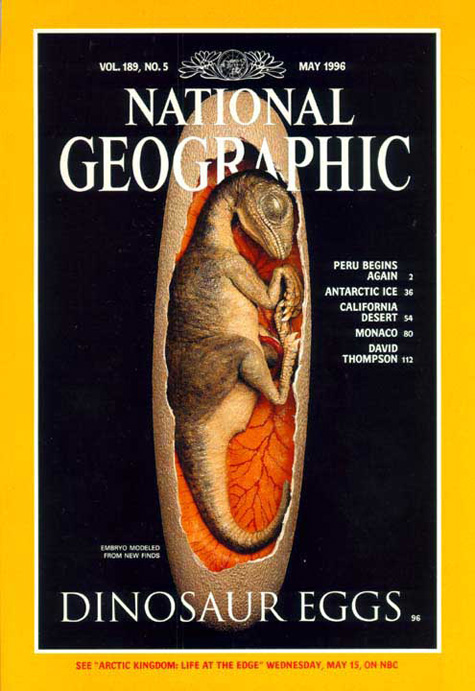 Cover Monkey: National Geographic Dinosaur Egg Cover