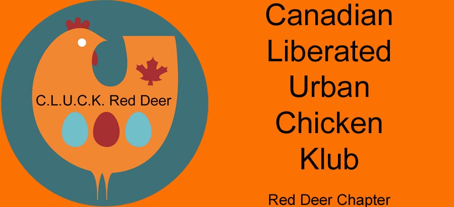 CLUCK Red Deer
