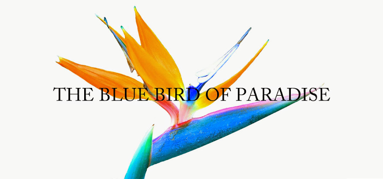 The Blue Bird of Paradise