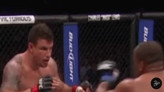 mir+smug+face+cormier+kick.gif