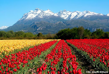 Esquel y alrrededores