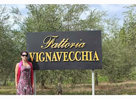 Visiting the Vignavecchia winery in Radda, Tuscany