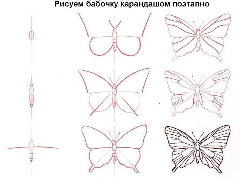 Поэтапное рисование кругами Поэтапное рисование кругами