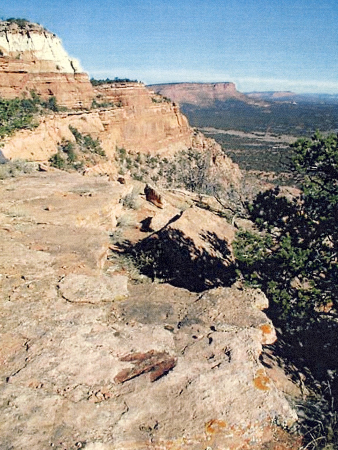 Rock Art Blog A PAINTED DINOSAUR TRACK IN UTAH