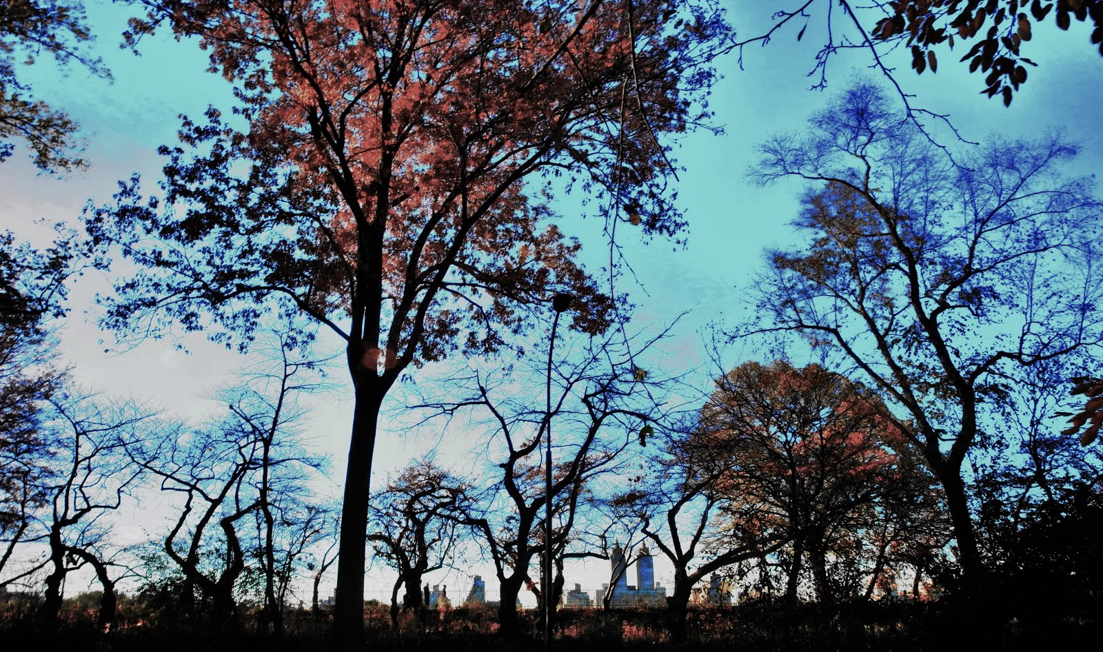 New York Central Park SkyLine Fall 2015