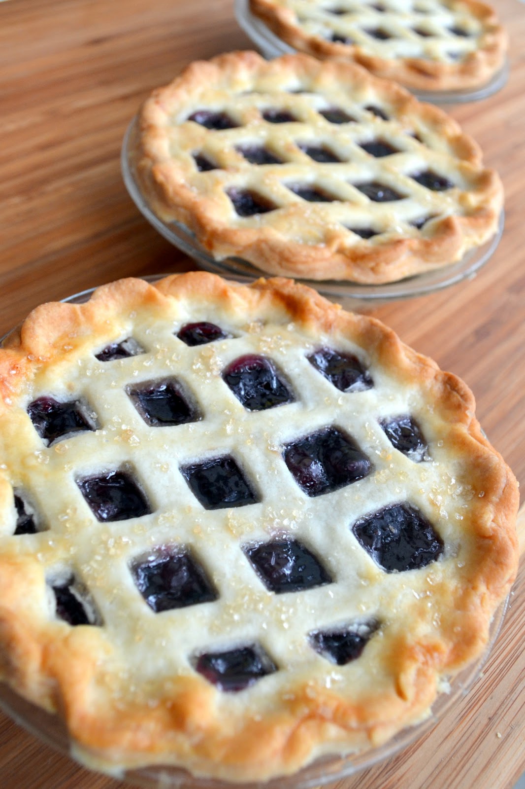 Sing a Song of Sixpence Painted Bird Pie Plate DIY Healthy Recipe Collections