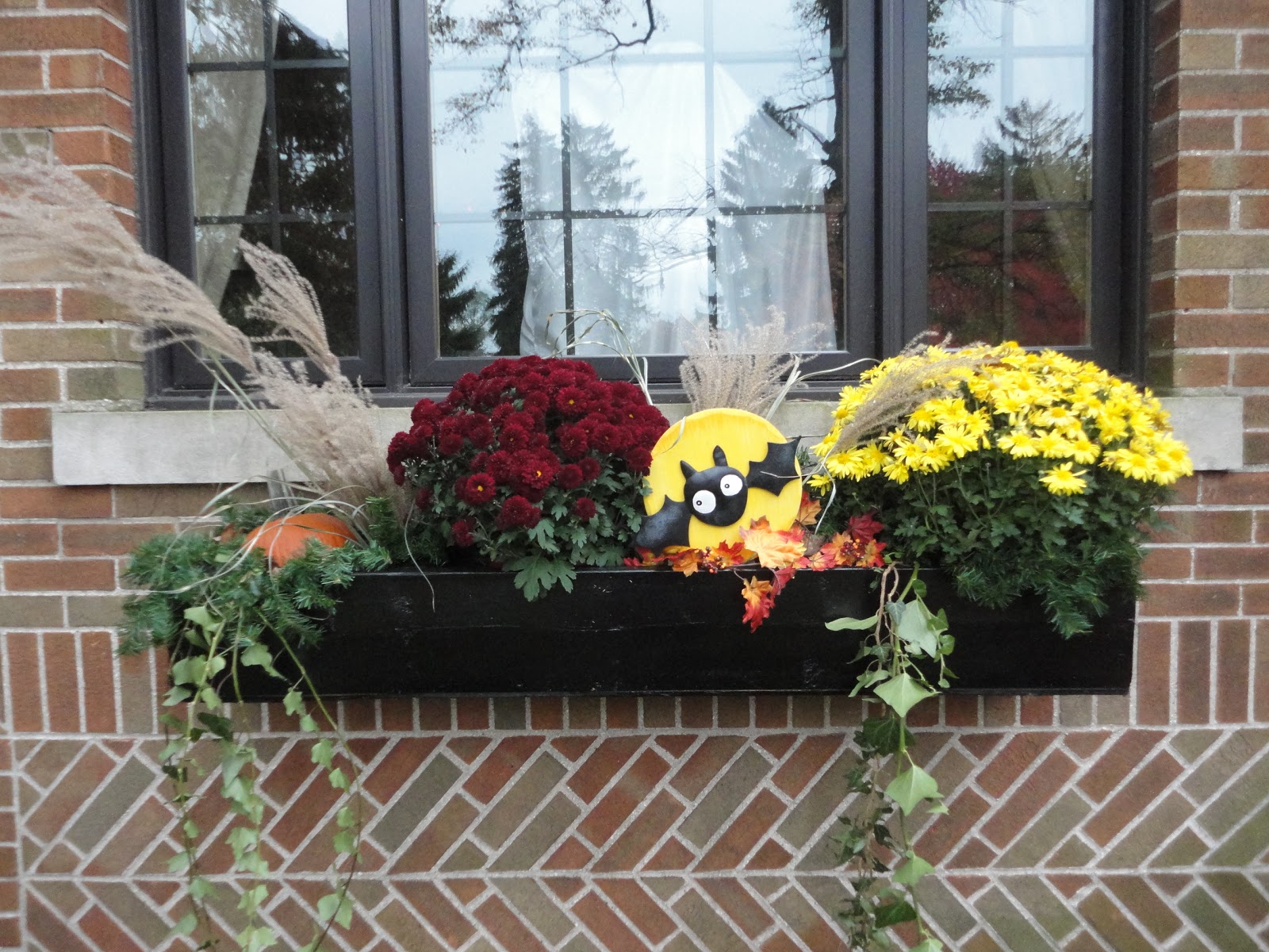 General Splendour Autumn window box and touches of spooky decor