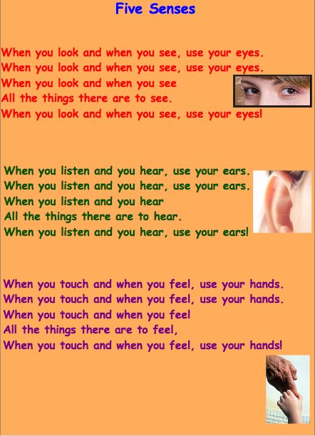 five senses poems five senses poems