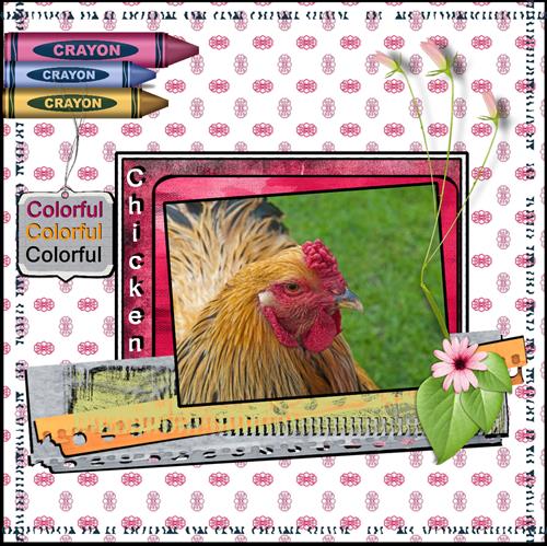Sept.15 - Colorful Chicken.
