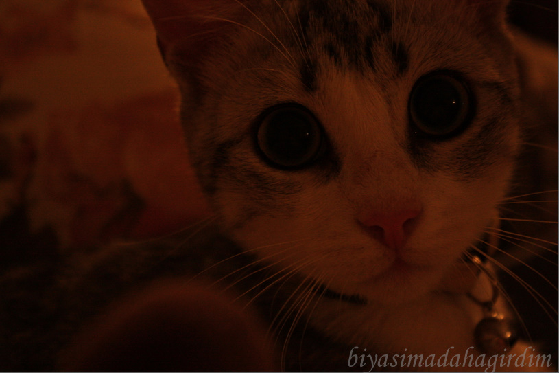Bi Yaşıma Daha Girdim!!! Eylül 2011
