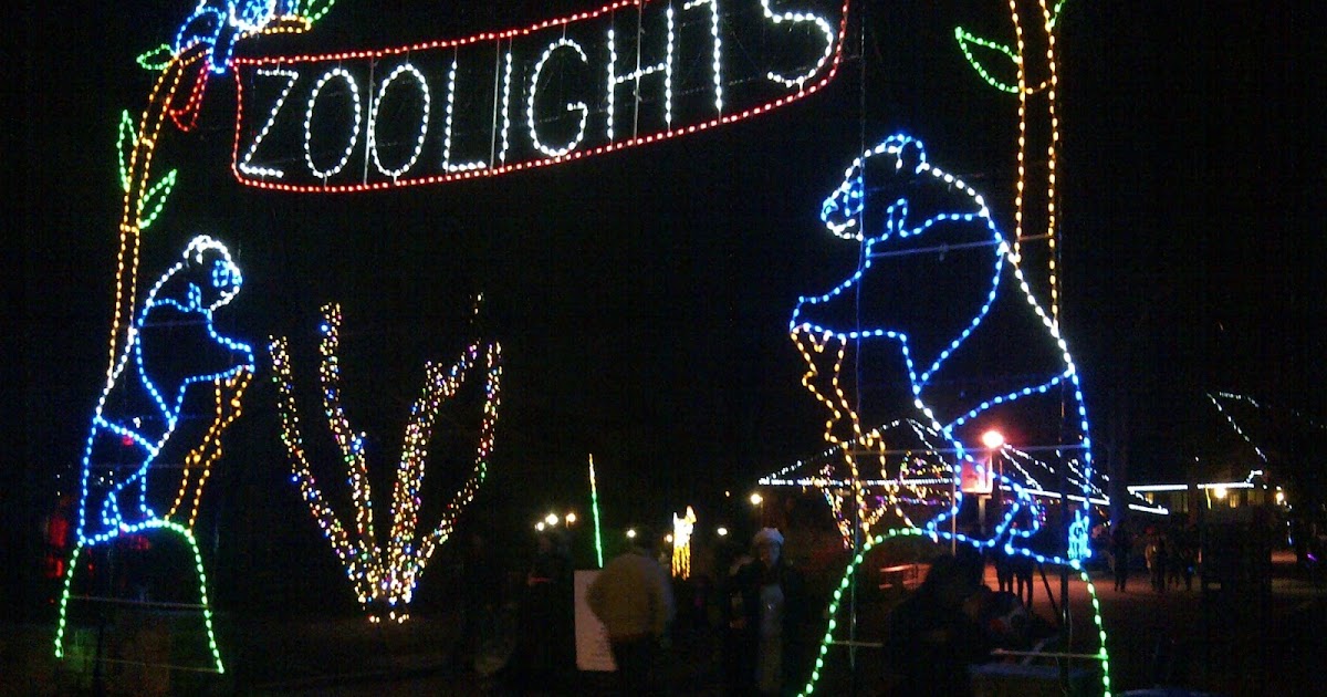 Focus Fox Log National Zoo Lights Date Night