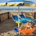 Αυτή η παραλία έχει μόνο έναν κανόνα: επιτρέπονται μόνο σκύλοι...