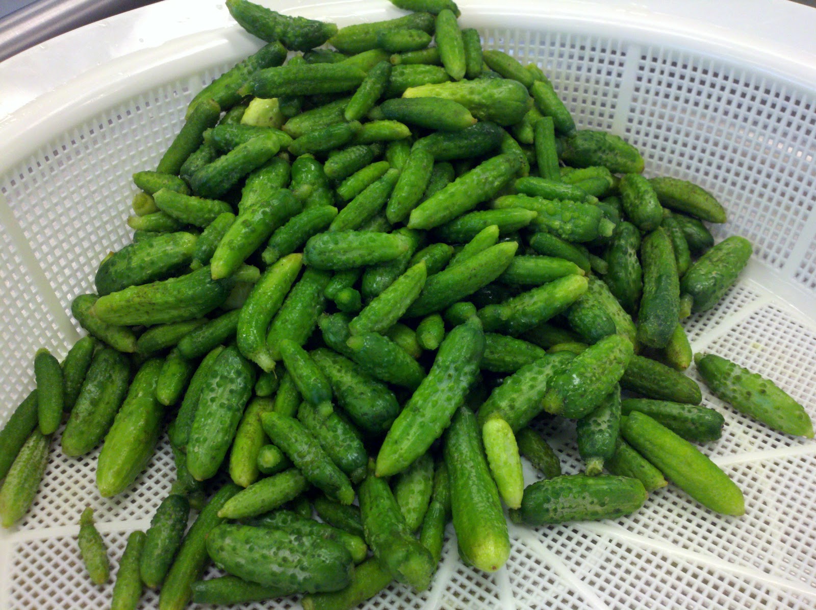Plots to Pots Fairfax Pickles, Spiced Blueberry Relish and Cornichons