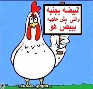 قرار نهائي البيض بجنيه  Funny+photo+of+eggs