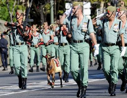 Pablo si estuvo en el desfile del 12 de Octubre Pablo si estuvo en el desfile del 12 de Octubre