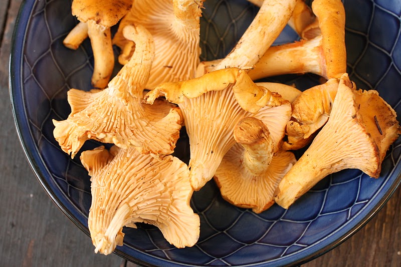 in the Hopeful Kitchen Roasted Chanterelles with Parmesan Polenta