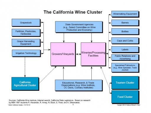 Californian wine clusters essay 07 picture