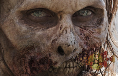 prostitute mug shots tampa