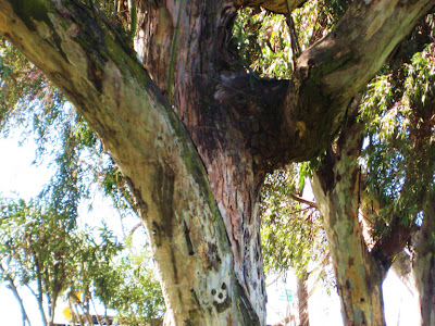 Happy Trees onelovejourney2012, one love journey, one love tree