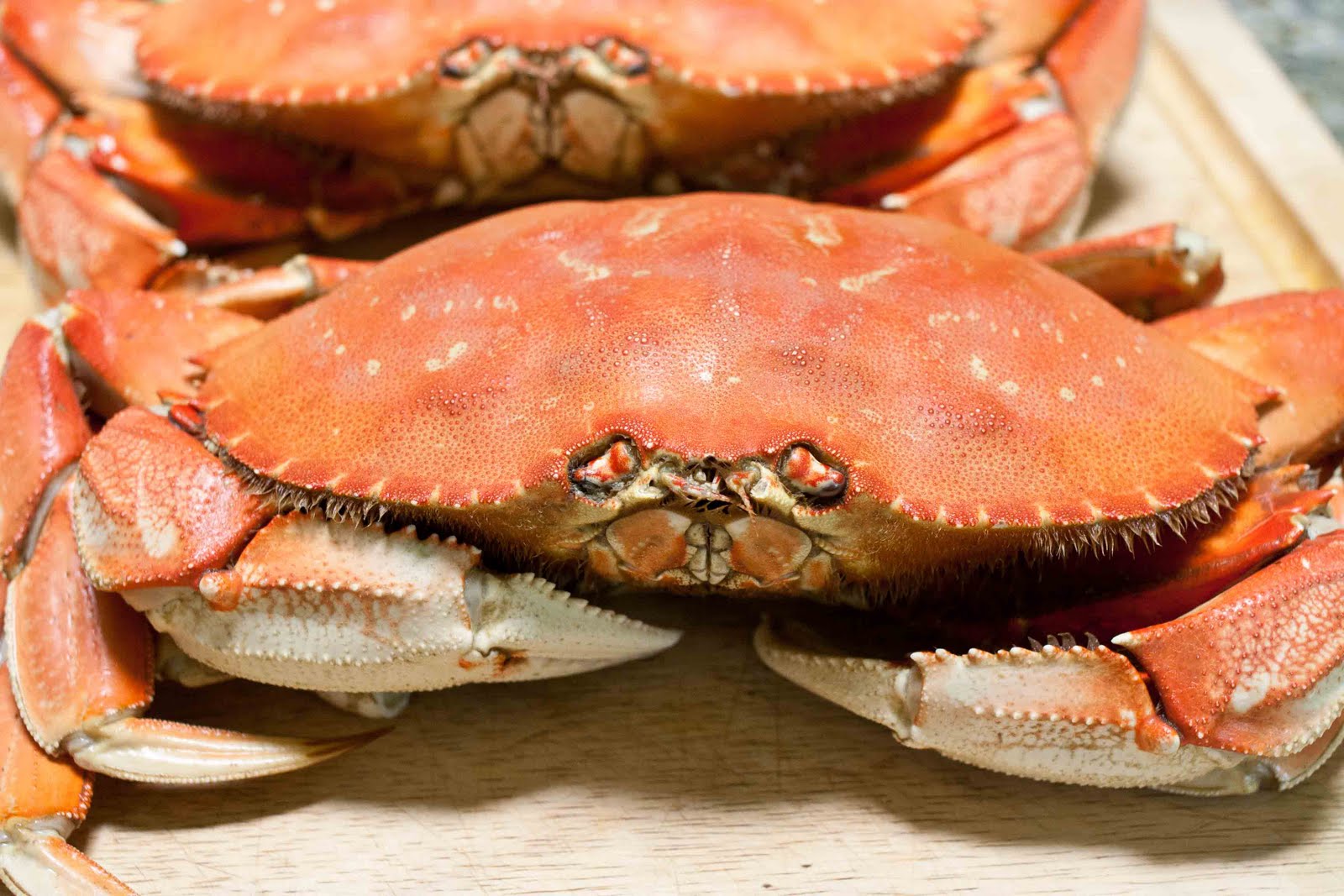 FOODjimoto Dungeness Crab Appetizer Plate