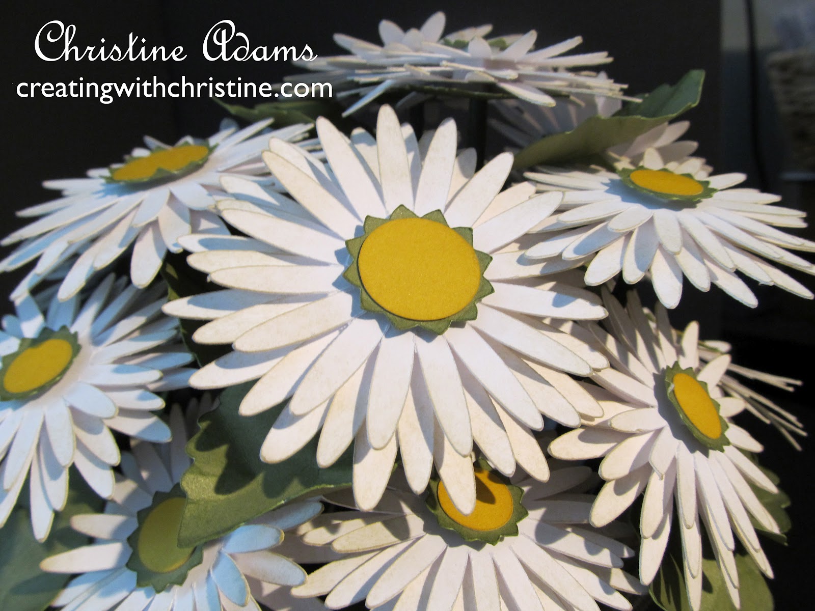 Creating with Christine Cricut Class Daisy Bouquet