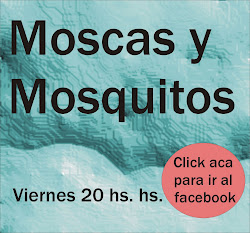 Moscas y Mosquitos