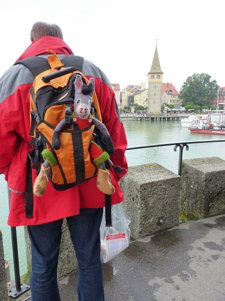 Topic Cluster Light Optics