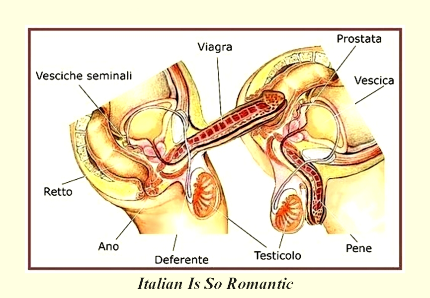 572-ое место анального секса