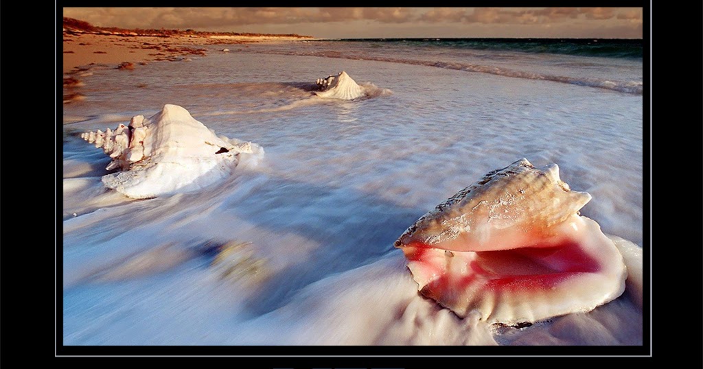 Most Beautiful Inspirational Wallpapers