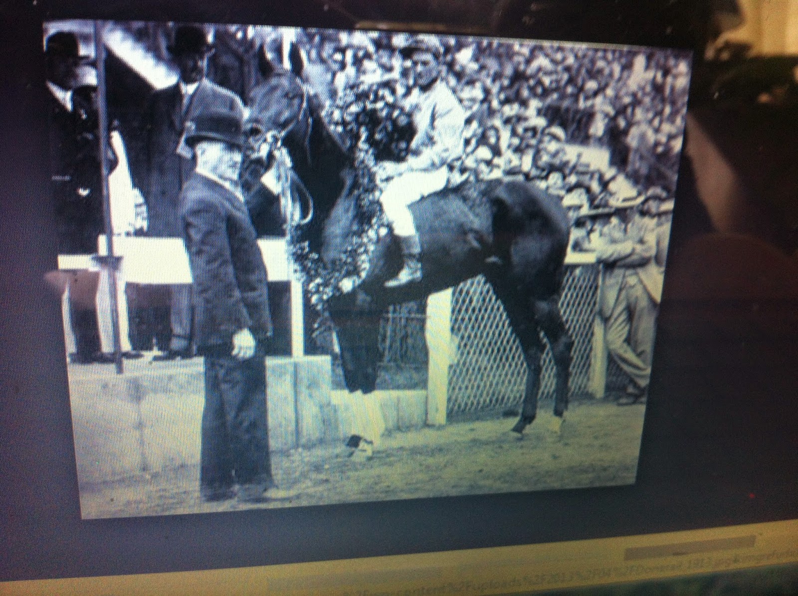 THE BLACK SOCIAL HISTORY BLACK SOCIAL HISTORY AFRICAN AMERICAN