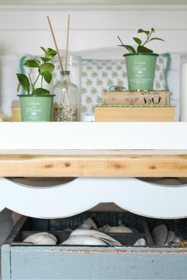 Styling a Coffee Table with New Plants The Wicker House
