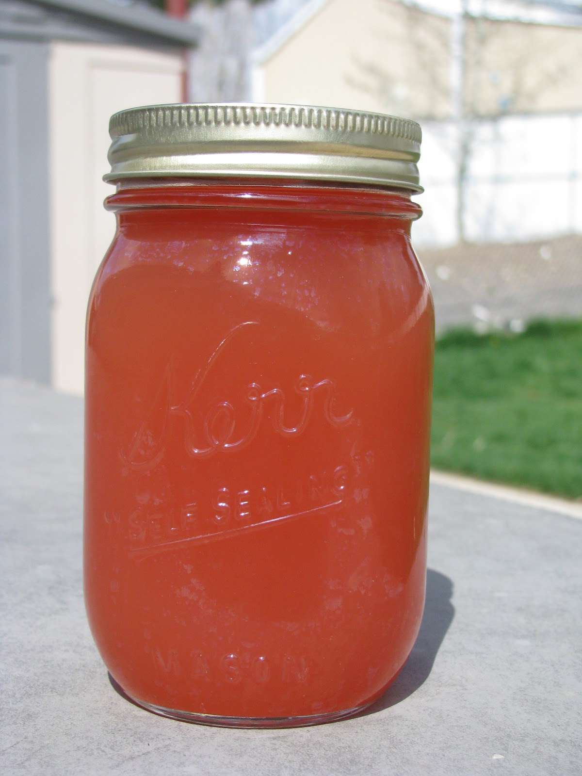 Canning Homemade! Rhubarb and Sunshine in a Juice Concentrate