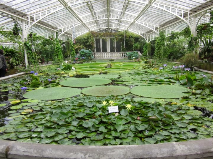 Munich Botanical Garden