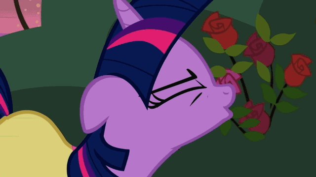 Funny pictures, videos and other media thread! - Page 5 93908+-+adorkable+animated+dancing+twilight_sparkle