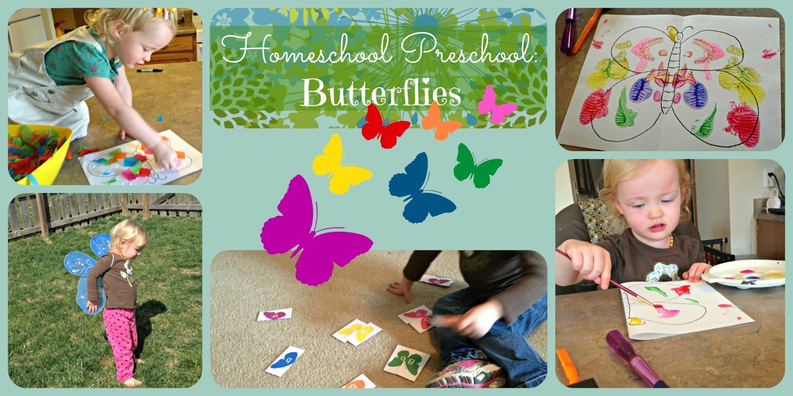 Olives Originals Homeschool Preschool Butterflies