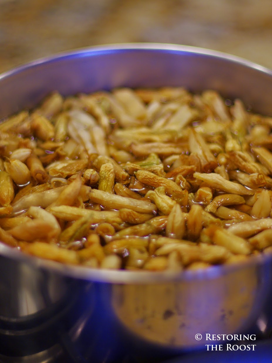 Restoring the Roost More on Shuck Beans Stringing, Drying, & Cooking