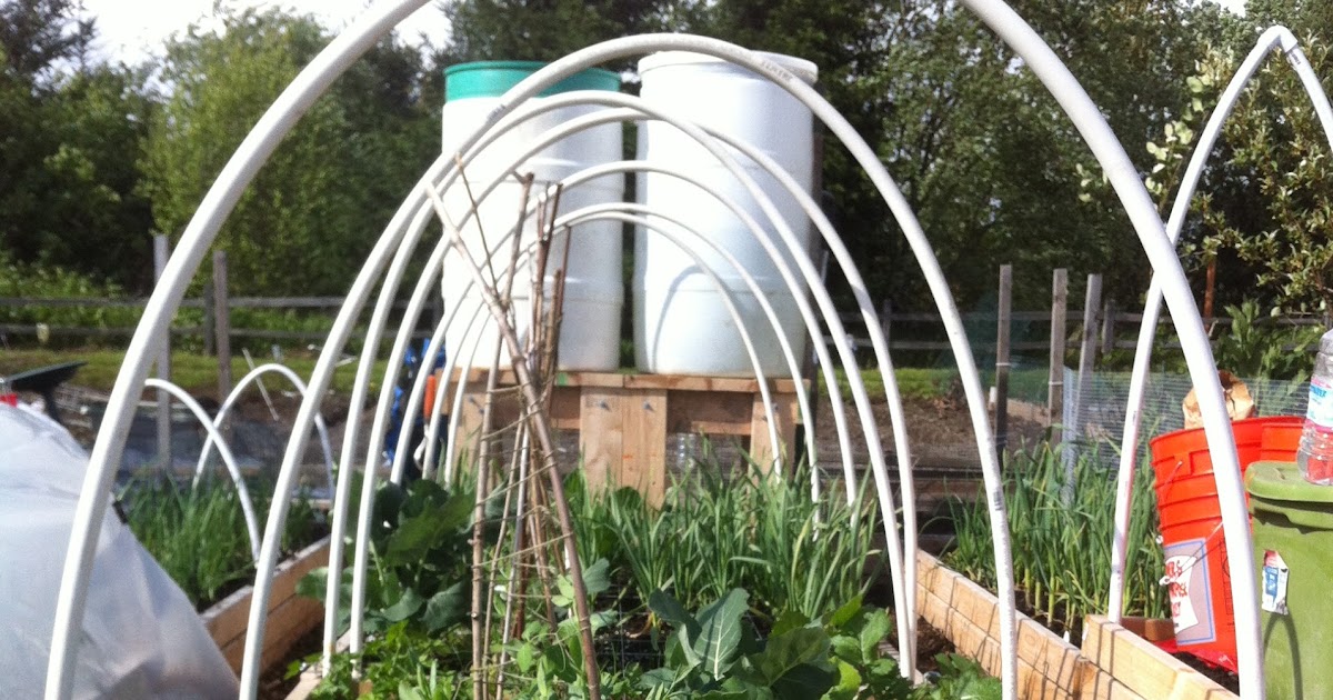 Pea Patch B21 & E8 Gravity drip irrigation system Step 1 Rain