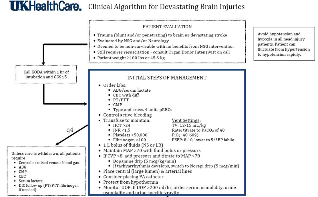 T2 Trainspotting 2017 - Rotten Tomatoes