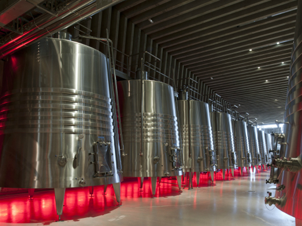 Sala de fermentación Bodegas Portia